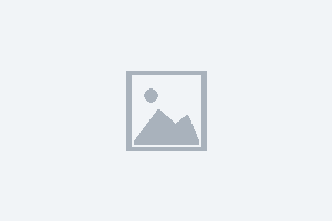 Logo partnera