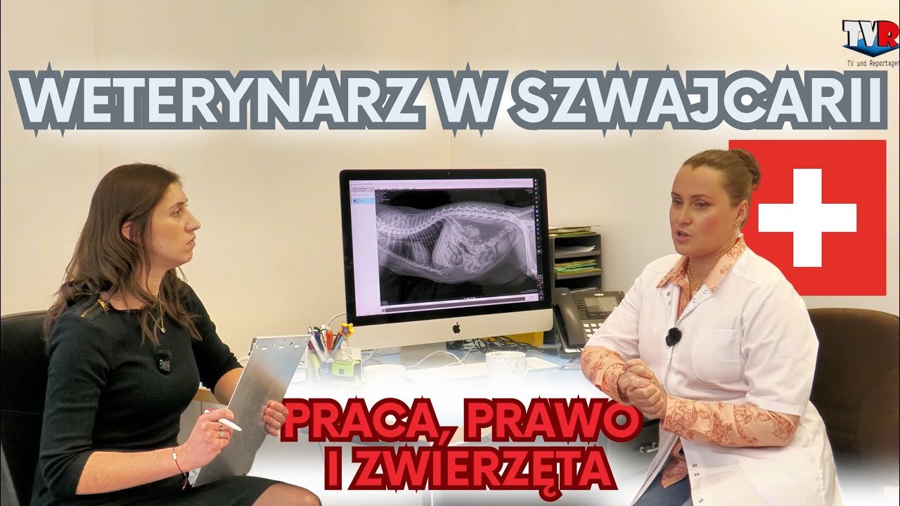 Miniatura filmu TVR